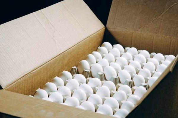 صادرات ۳۳ هزار تن تخم‌مرغ از ابتدای سال
