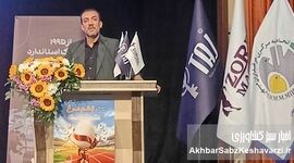 مرادی خبر داد: احداث «شهر تخم‌مرغ» با ۱۷۰ میلیارد تومان سرمایه‌گذاری اولیه