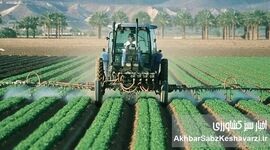 استان فارس پیشرو در ترویج و آموزش کشاورزی با اجرای الگوی کشت ملی