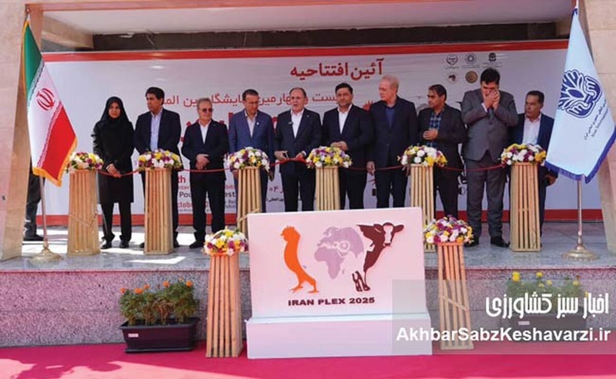 نمایشگاهی که می‌تواند جامع تر باشد