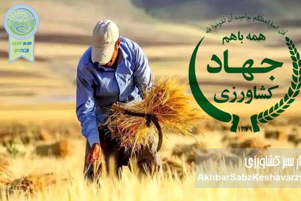وقتی دغدغه رهبری «معیشت مردم» است؛ چرا سفره مردم قربانی ناکارآمدی شده است؟
