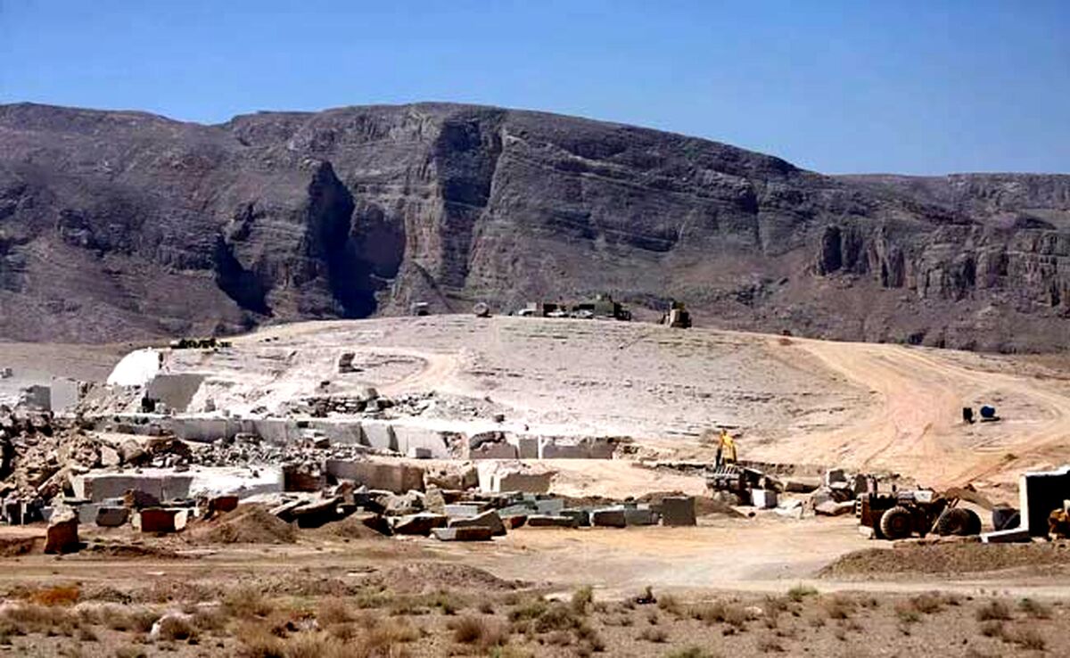 نهال‌های «الیمالات» عامدانه خشکیدند

