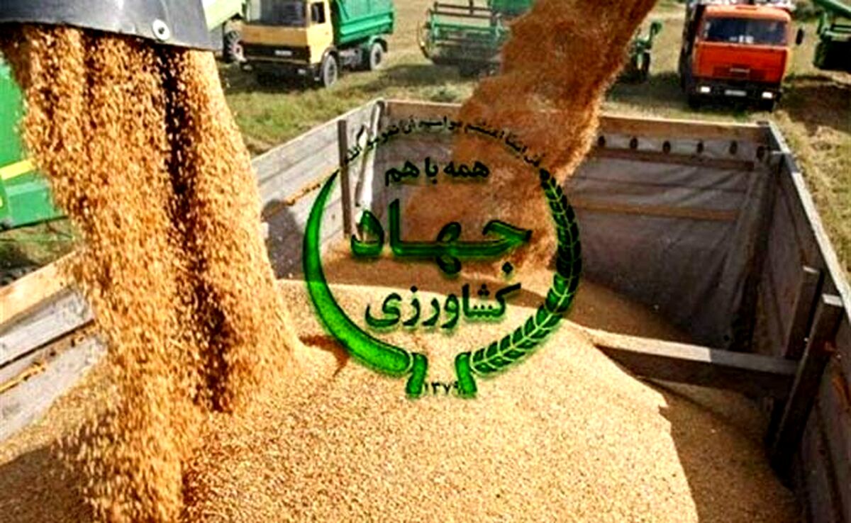 ۷۶ شرکت وارد کننده درباره کاهش ذخایر نهاده‌های دام و طیور هشدار دادند