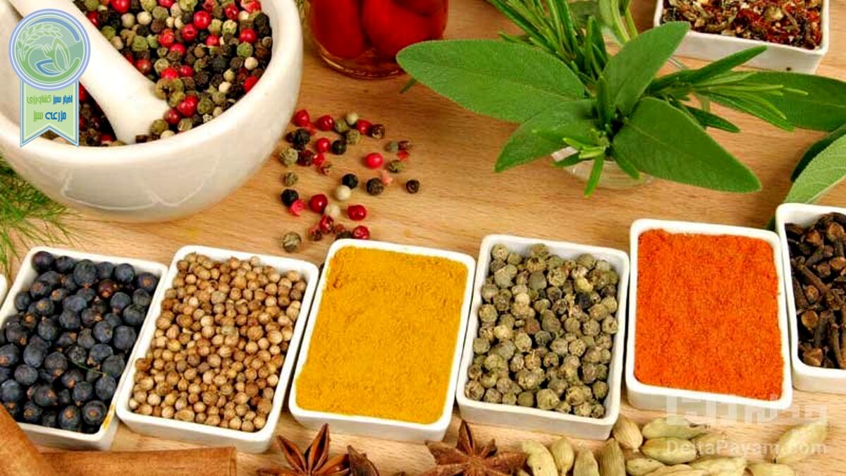 ادویه‌های خنک کننده بدن را بشناسید


