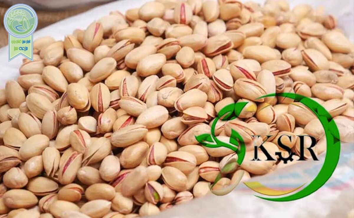 توسعه توان صادراتی کرمان با تاسیس انجمن صادرکنندگان

