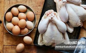 این مواد غذایی را قبل از مصرف نشویید؛ اشتباهی رایج در آشپزخانه