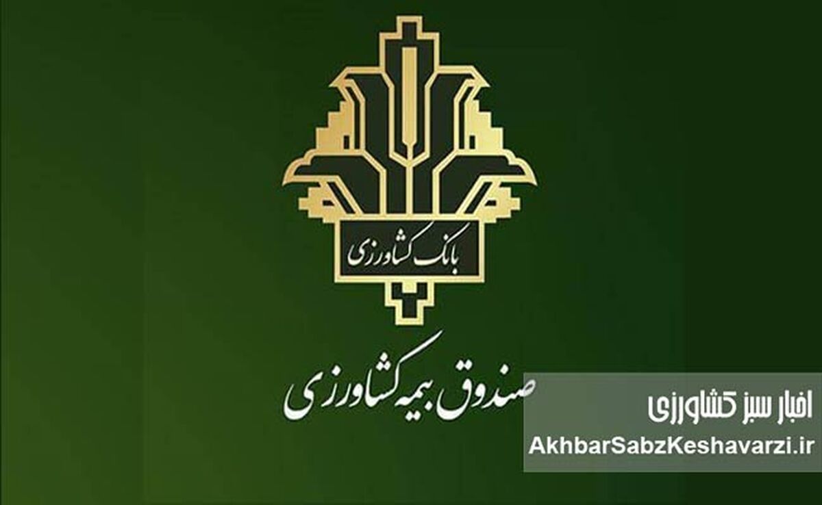پرداخت ۵۲۰۰ میلیارد ریال غرامت بیمه کشاورزی به خسارت‌دیدگان