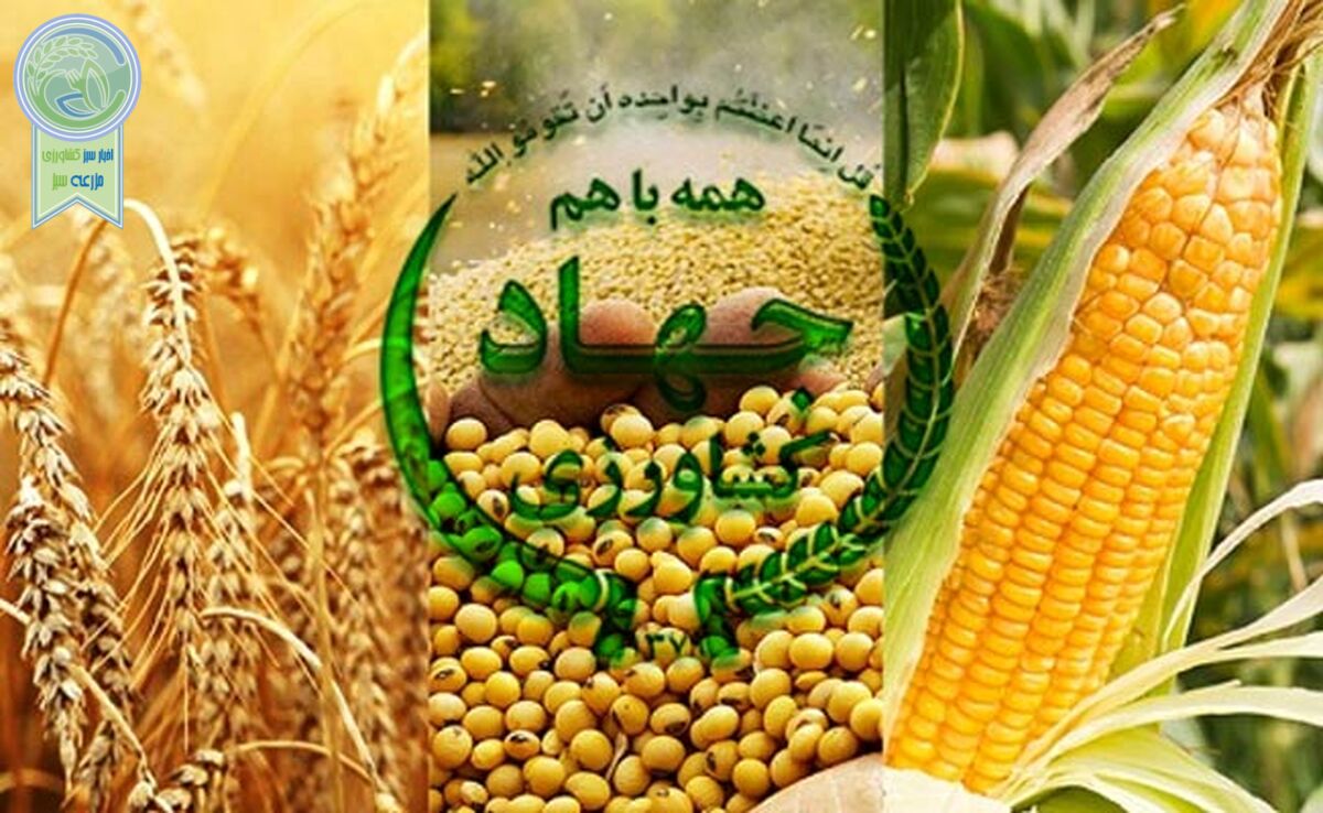 امنیت غذایی مردم: رسالت فراموش‌شده وزارت جهاد کشاورزی؟