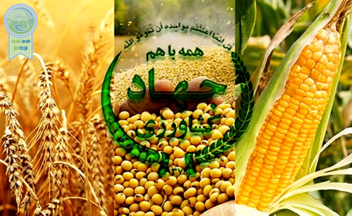 امنیت غذایی مردم: رسالت فراموش‌شده وزارت جهاد کشاورزی؟