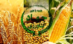 امنیت غذایی مردم: رسالت فراموش‌شده وزارت جهاد کشاورزی؟