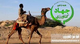 شترسواری وزیر جهاد کشاورزی؛ قاچ زین و سفت بچسب، شترسواری پیشکشت