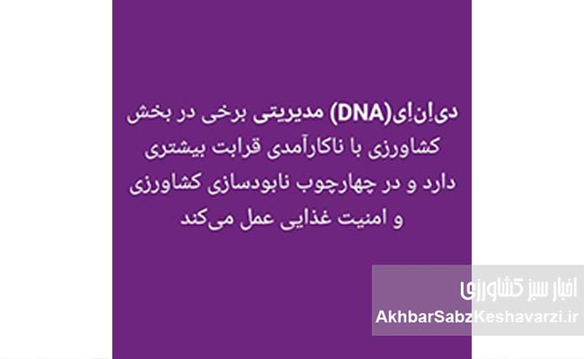  تحلیل علمی یک استاد دانشگاه از D N A مدیریتی وزیر جهاد کشاورزی+عکس