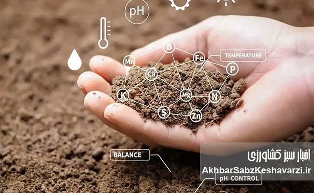 هشدار درباره مرگ خاک؛ یکپارچه‌سازی اراضی راه‌حل است یا مُسکن موقت؟