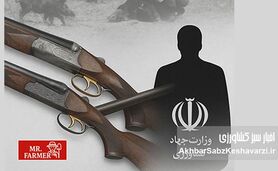 اسلحه‌های طلایی شاه در دست وزیر؟! «وزارت شکارخانه»: گزارش واگذاری سلاح‌های سلطنتی