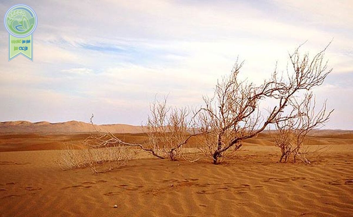 کالبدشکافی پدیده‌ایی به نام بیابان‌زدایی

