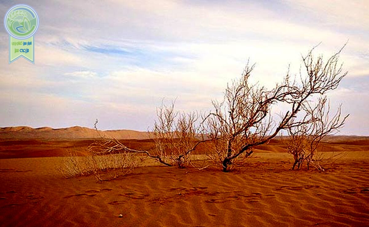 کالبدشکافی پدیده‌ایی به نام بیابان‌زدایی

