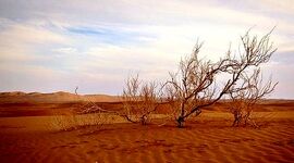 کالبدشکافی پدیده‌ایی به نام بیابان‌زدایی

