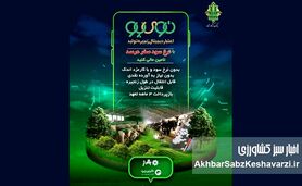 «نوی‌پو» بانک کشاورزی؛ سپر جدید امنیت غذایی در اقتصاد پرنوسان