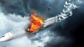 آخرین وضع پرونده جانباختگان هواپیمای اوکراین/ همه به جز ۸ خانواده انصراف دادند

