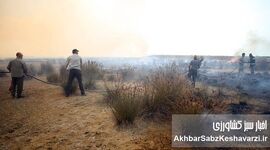 راز ۱۰ بار آتش‌سوزی در میانکاله؛ پشت‌پرده حریق‌های سریالی چیست؟
