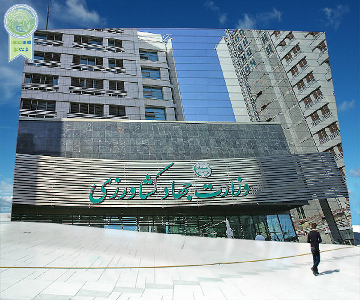وزارت چند وزیری
