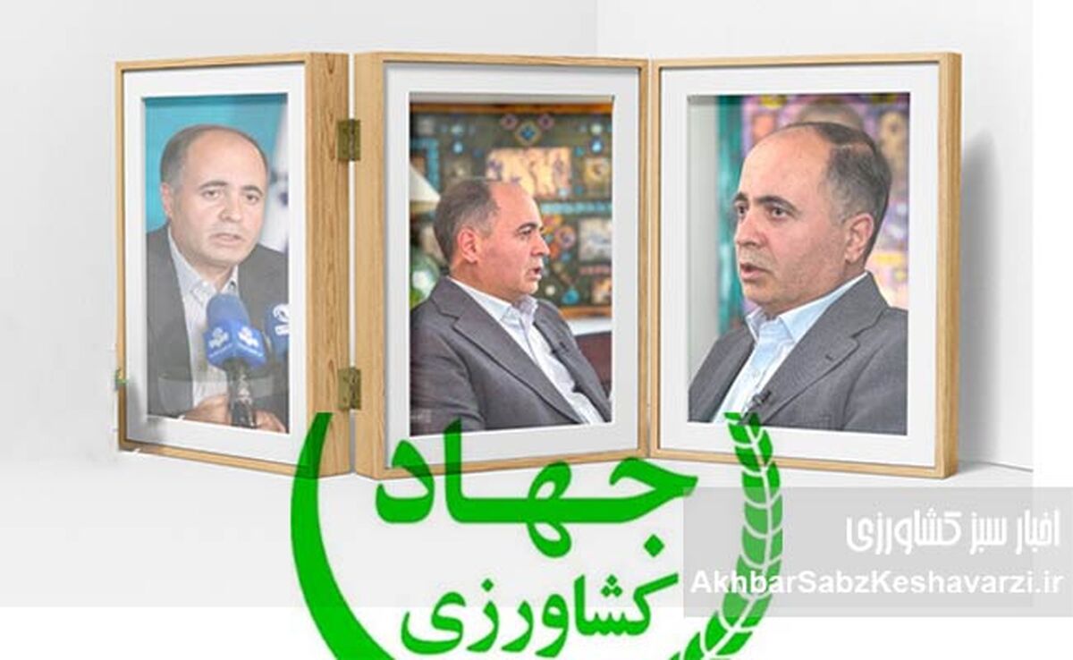 رییس جمهور: از تو گران کردن از من حمایت کردن؛ پشت پرده حمایت‌های پزشکیان از نوری قزلجه