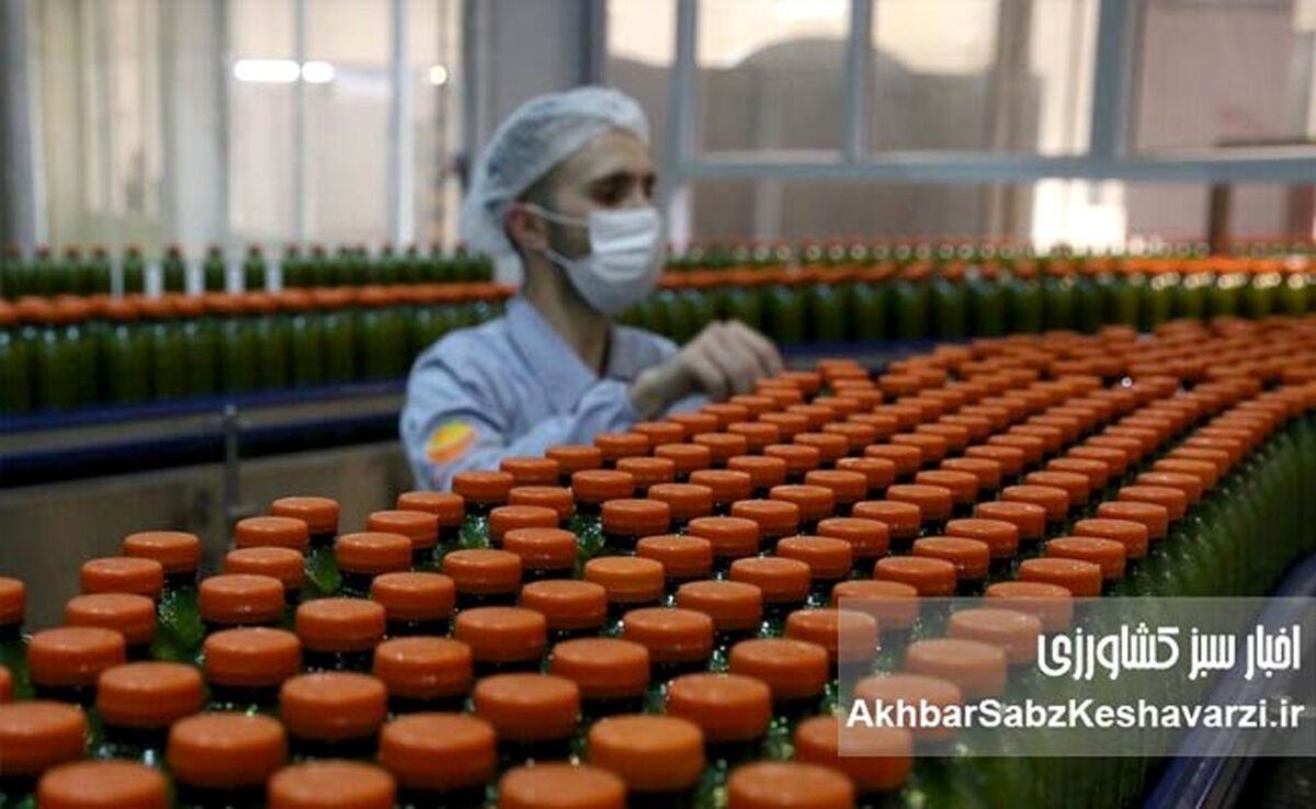 چالش‌های اساسی صنایع غذایی ایران در سال 1404؛ راهکارهای عبور از بحران