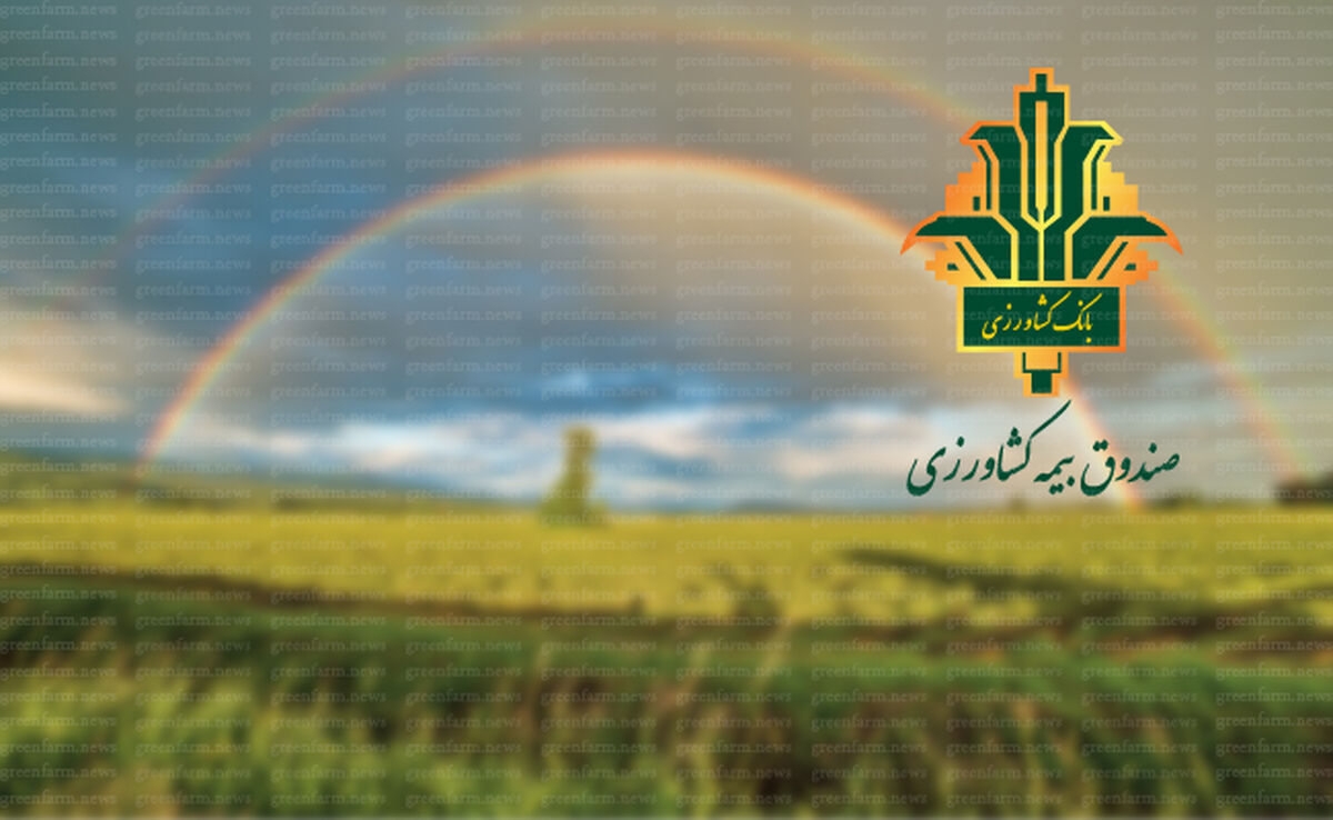توسعه دیپلماسی بیمه کشاورزی؛ گامی مؤثر در راستای امنیت غذایی پایدار