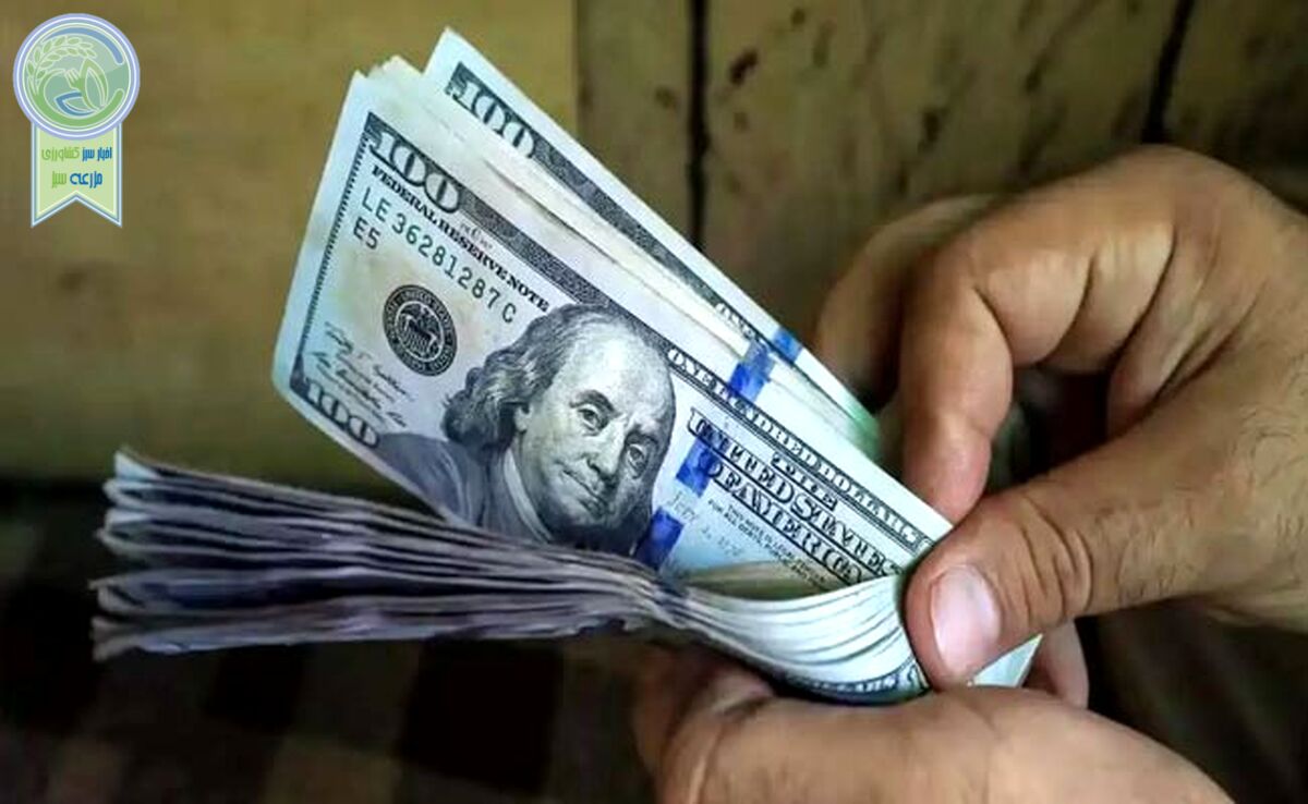 قیمت دلار تا کجا پیش‌می‌رود؟

