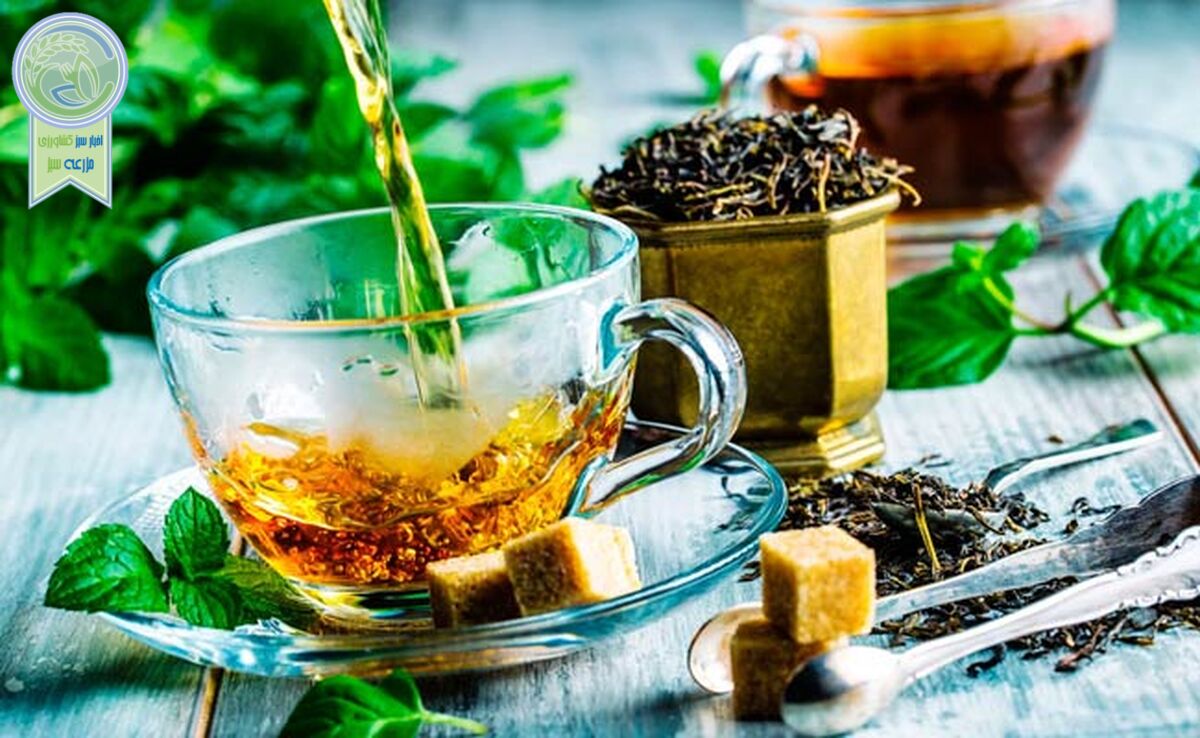کدام دمنوش‌ها شکم و پهلو را آب می‌کنند؟/ بهترین زمان خوردن دمنوش لاغری

