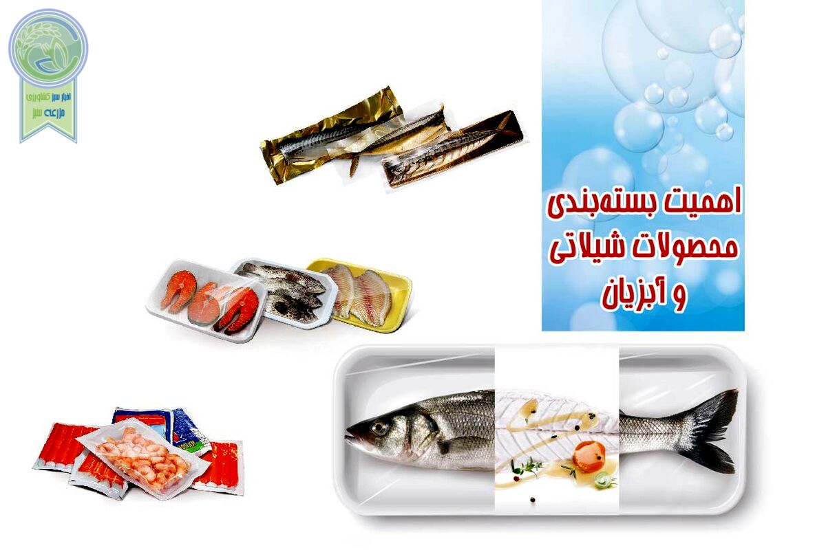 اهمیت بسته‌بندی محصولات شیلاتی و آبزیان

