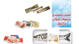 اهمیت بسته‌بندی محصولات شیلاتی و آبزیان

