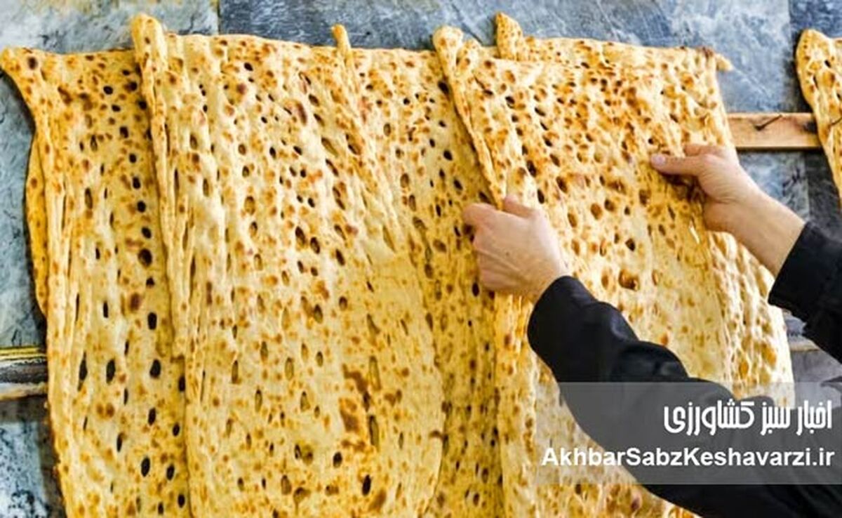 شوک قیمت نان در تهران؛ نرخ جدید سنگک، بربری و لواش ابلاغ شد