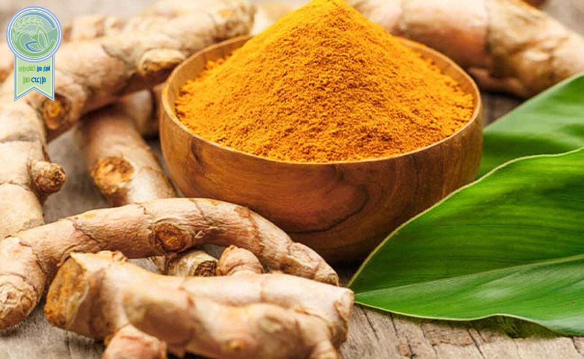 زردچوبه؛ ترکیبات، مواد موثر و نقش آن در سلامت