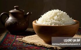 حذف برنج و ریزش مو؛ شوک پنهان رژیم‌های لاغری به بدن