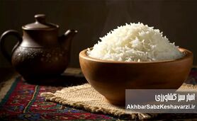 حذف برنج و ریزش مو؛ شوک پنهان رژیم‌های لاغری به بدن