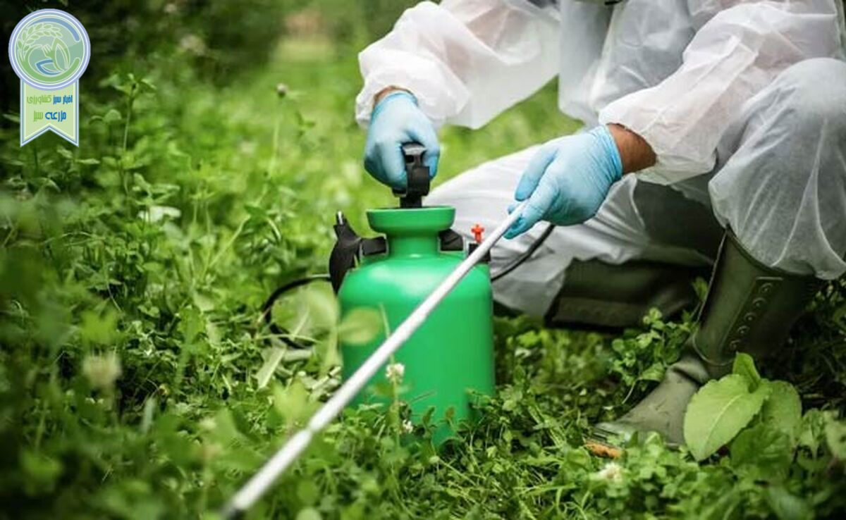 مهندس مهاجر: برخی از سموم وارداتی یا مواد اولیه وارداتی چین بی‌کیفیت و آشغال است

