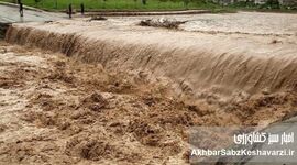 سیلاب‌های اخیر ۱۱ همت به کشاورزی کشور خسارت زد؛ جنوب کرمان در صدر آسیب‌ها