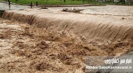 سیلاب‌های اخیر ۱۱ همت به کشاورزی کشور خسارت زد؛ جنوب کرمان در صدر آسیب‌ها