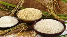 ثبت سفارش ۱۳۰ هزارتن برنج در ۲ ماهه سال جاری

