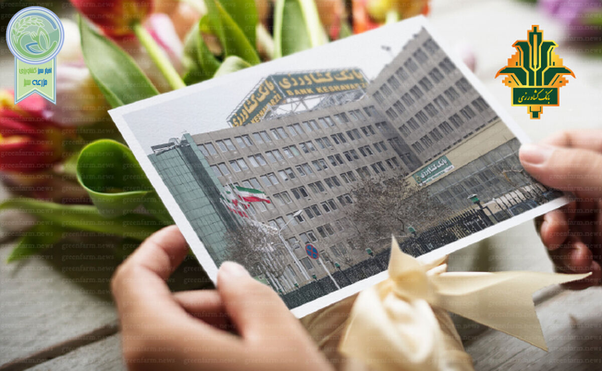پالیز، کشاورزی قراردادی تضمین شده

