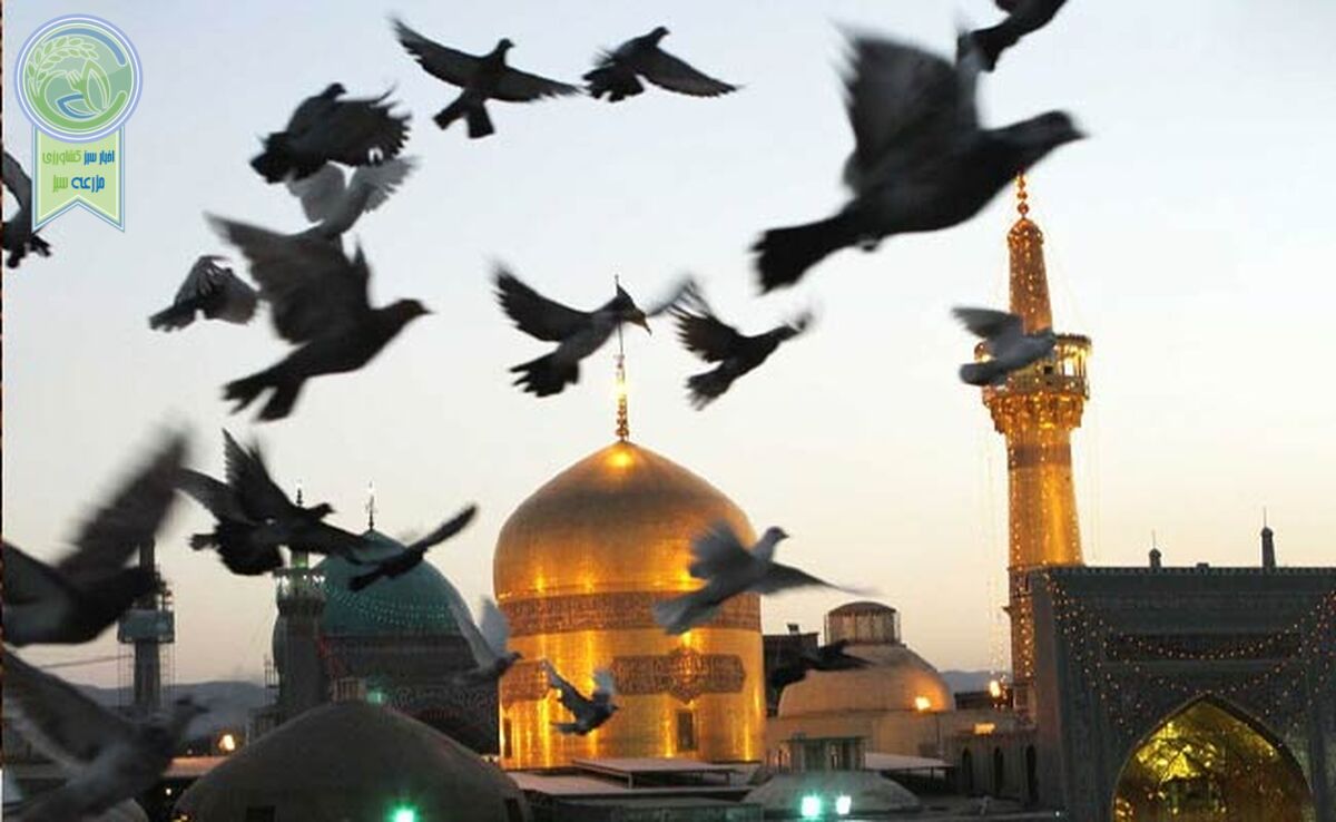 به خود آمدن

