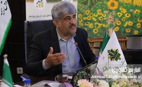 اوسطی: بیمه کشاورزی باید به طراز امنیت غذایی ایران برسد