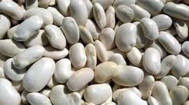 کمبود لوبیا سفید درپی دپوی 5 هزار تن حبوبات در گمرک

