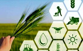 صندوق‌های حمایتی نمونه عینی تحقق شعار سرمایه‌گذاری برای تولید در کشاورزی
