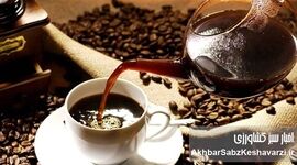 قهوه ساعت ۳ بعدازظهر؛ نجات‌دهنده انرژی یا عامل پنهان اضطراب در کار؟
