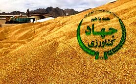 فساد در واردات نهاده‌های دامی؛ ورود قوه قضاییه+ ویدئو