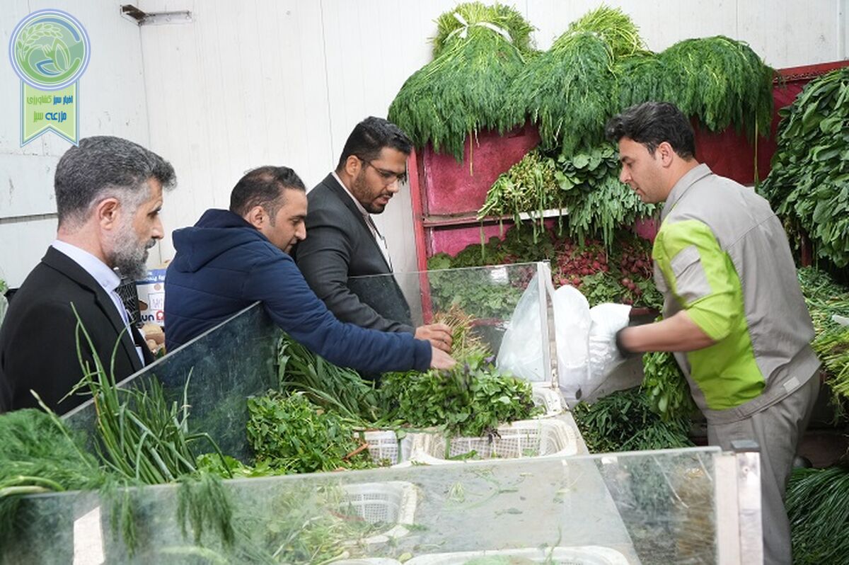 بازدید مدیرعامل سازمان مدیریت میادین از بازار تره بار ایثار+تصویر

