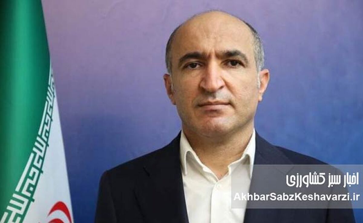 راد روی خط وزارت؛ لابی‌ها برای جانشینی قزلجه علنی شد؟