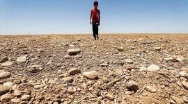 دولت چهاردهم و زمین سوخته محیط زیست


